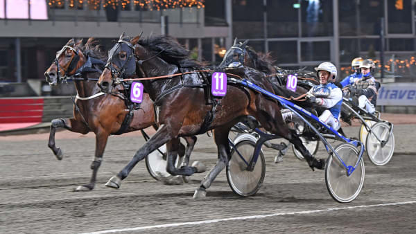 Foto: MALIN ALBINSSON / TR BILD