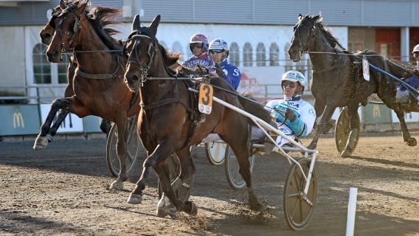 Foto: MALIN ALBINSSON / TR BILD