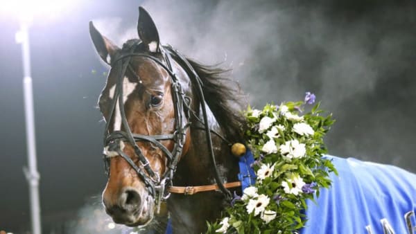 Foto: Maria Holmén/TR Bild