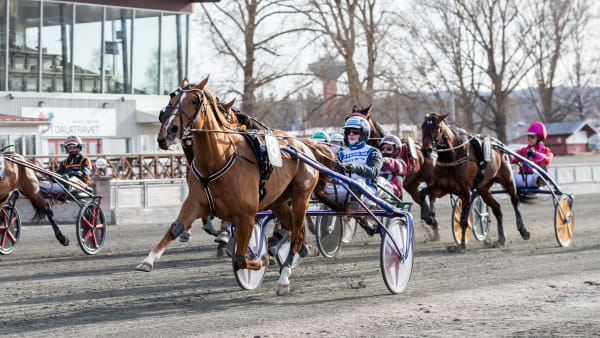 Foto: LENA EMMOTH / TR BILD