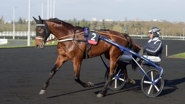 Foto: LARS JAKOBSSON / TR BILD