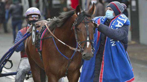 Foto: Jean-Luc Lamaère/LeTrot
