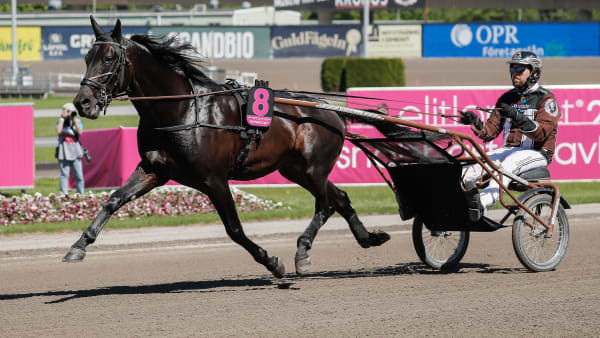 Foto: LENA EMMOTH / TR BILD