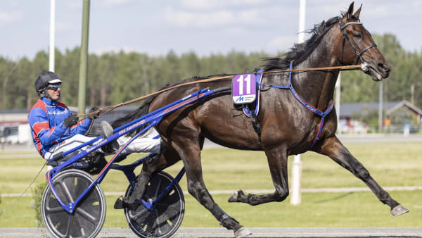 Foto: LENA EMMOTH / TR BILD