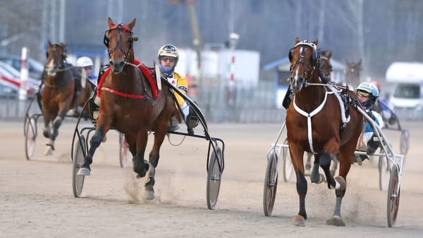 Foto: Maria Holmén/TR Bild