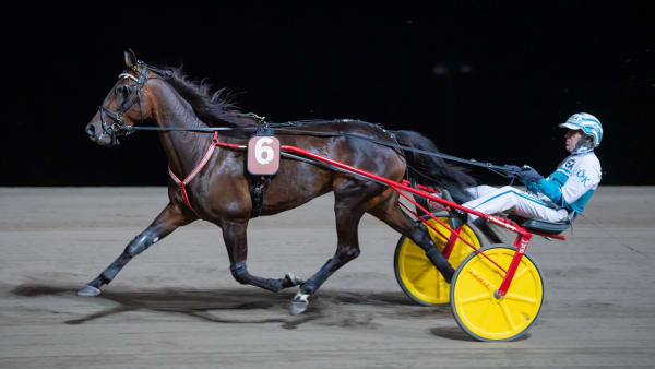 Foto: MIKAEL ROSENQUIST / TR BILD