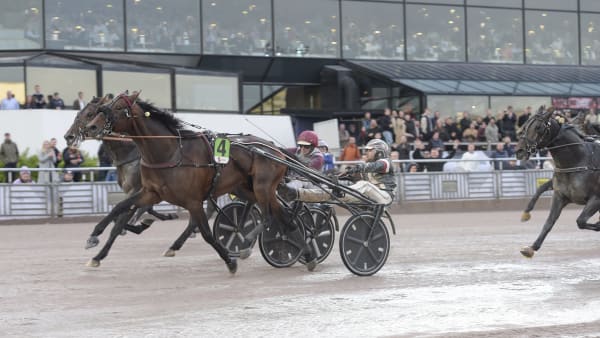 Foto: LARS JAKOBSSON / TR BILD