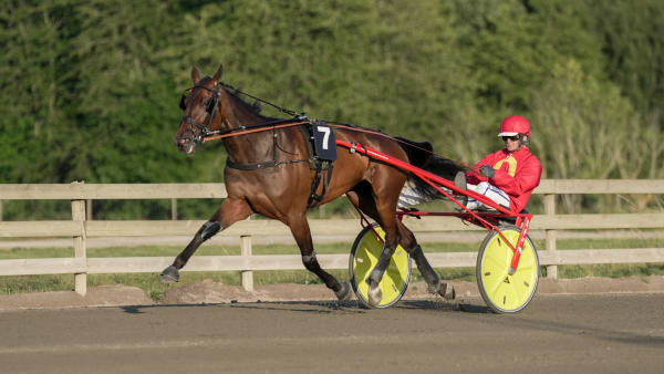 Foto: THOMAS BLOMQVIST / TR BILD