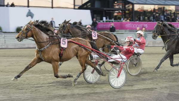 Foto: TOMMY ANDERSSON/ALN