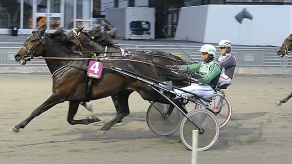 Foto: TOMMY ANDERSSON/ALN