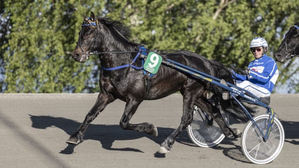 Foto: LENA EMMOTH / TR BILD