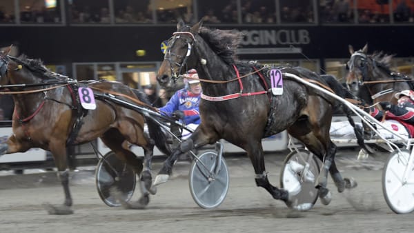 Foto: LARS JAKOBSSON/TR BILD