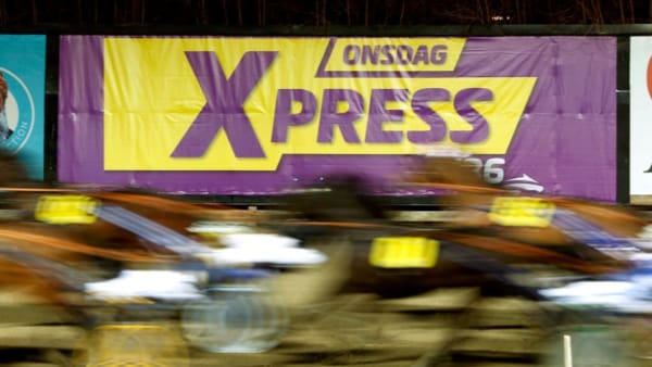 Foto: MARIA HOLMÉN/TRAVRONDEN