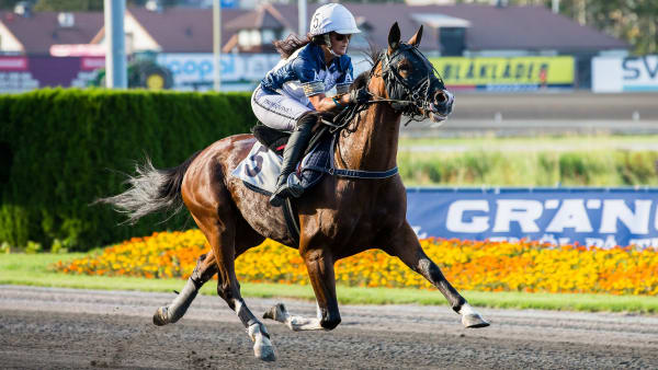 Foto: LENA EMMOTH / TR BILD