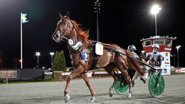 Foto: MARIA HOLMÉN / TR BILD