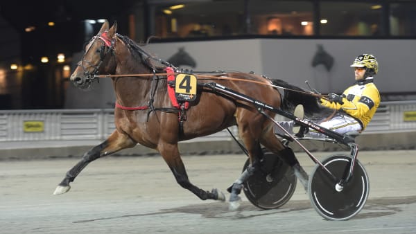 Foto: LARS JAKOBSSON / TR BILD