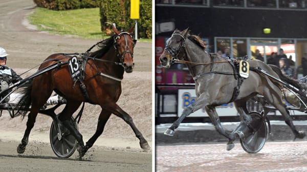 Foto: MATILDA ÖHRMAN/LARS JAKOBSSON/TR BILD