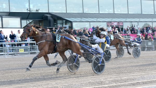 Foto: LARS JAKOBSSON / TR BILD