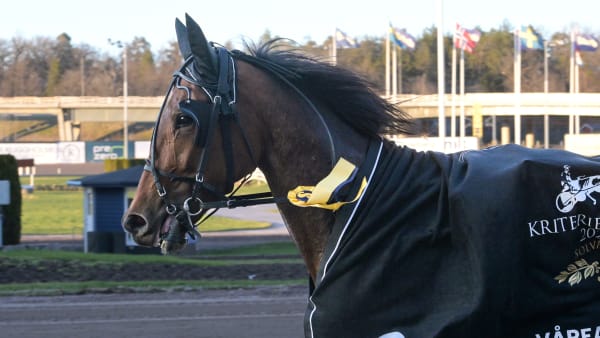 Foto: LARS JAKOBSSON / TR BILD