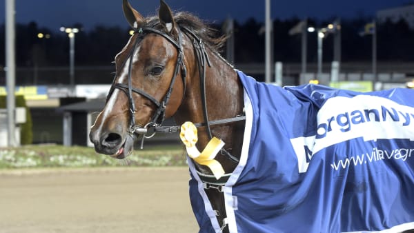 Foto: LARS JAKOBSSON / TR BILD