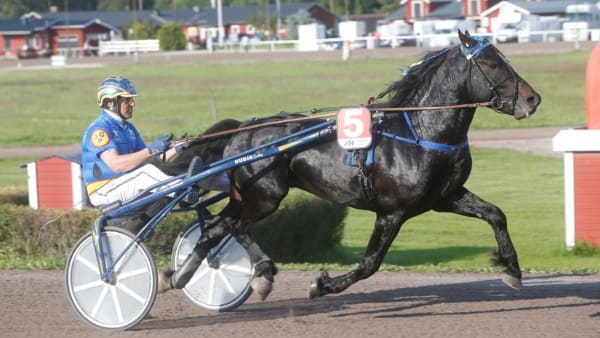 Foto: MICKE GUSTAFSSON/ALN