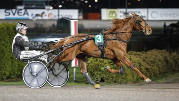 Foto: LENA EMMOTH / TR BILD