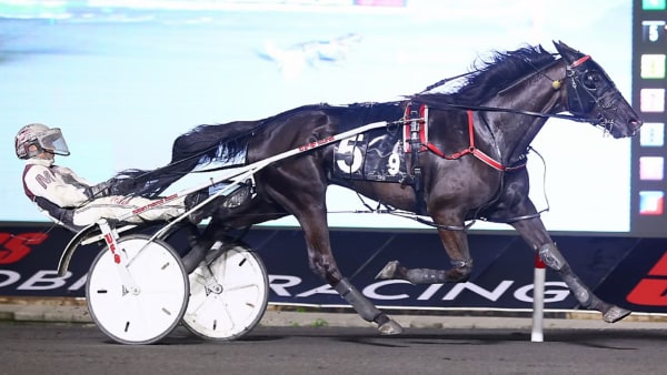 Foto: New Image Media