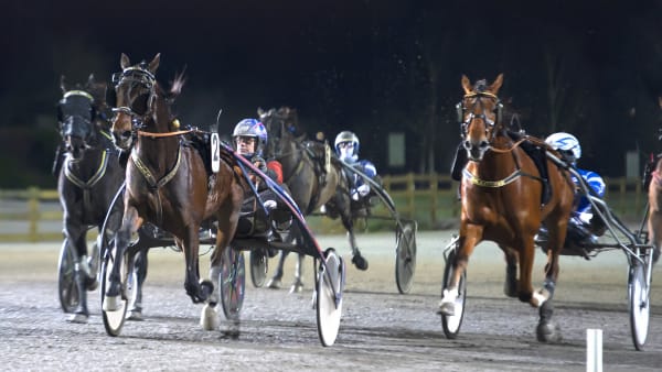 Foto: MIKAEL ROSENQUIST / TR BILD