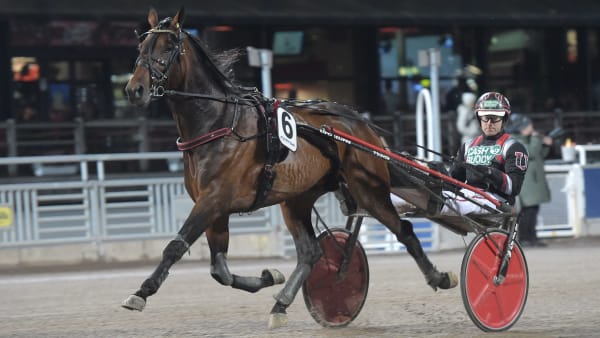 Foto: LARS JAKOBSSON / TR BILD