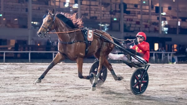 Foto: MIKAEL ROSENQUIST / TR BILD