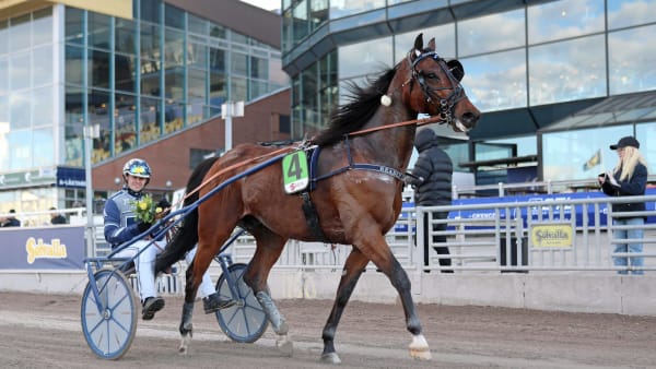 Foto: MARIA HOLMÉN / TR BILD