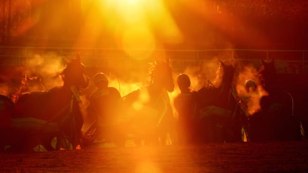 Foto: LARS JAKOBSSON/TR BILD