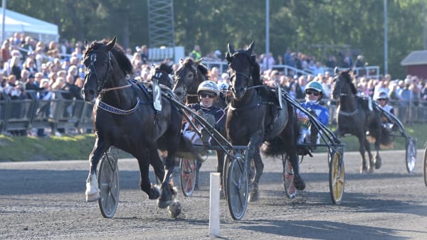 Foto: LARS JAKOBSSON / TR BILD