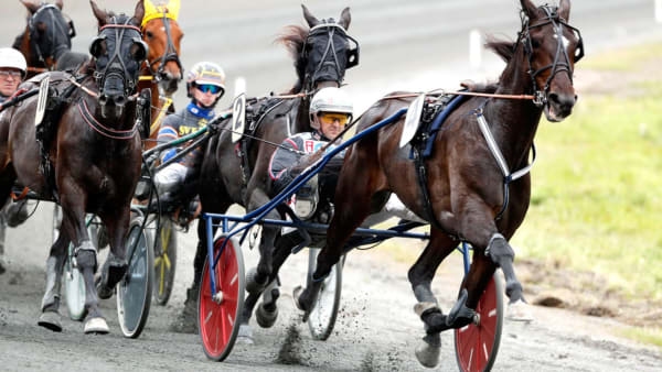 Foto: Micke Gustafsson/TR BILD