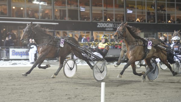 Foto: Christer Norlin/ALN