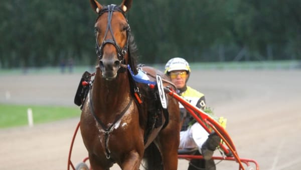 Foto: MICKE GUSTAFSSON/ALN