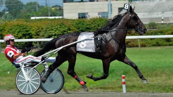 Foto: FOTO: STALLTZ.SE