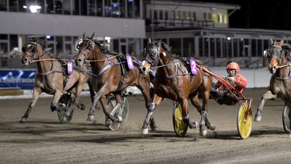 Foto: LARS JAKOBSSON / TR BILD