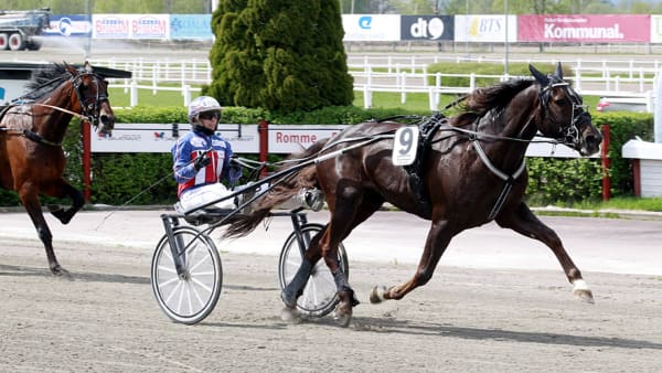 Foto: Fredric Gustafsson/ALN