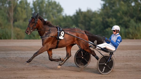 Foto: MIKAEL ROSENQUIST / TR BILD