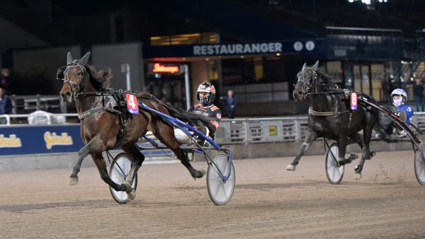 Foto: LARS JAKOBSSON / TR BILD