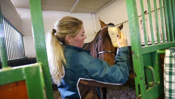 Foto: MARIA HOLMÉN / TR BILD