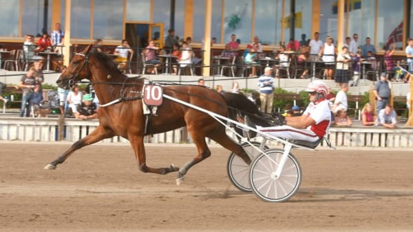 Foto: MICKE GUSTAFSSON/ALN