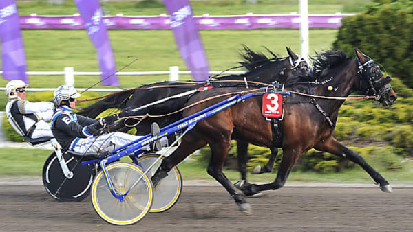 Foto: JÖRGEN TUFVESSON/ALN