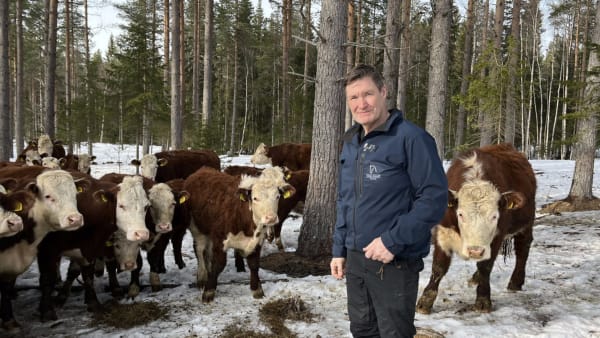 Foto: PATRICK SJÖÖ