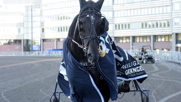 Foto: LARS JAKOBSSON / TR BILD