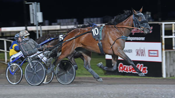 Foto: MALIN ALBINSSON / TR BILD