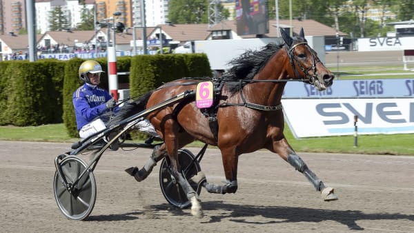 Foto: LARS JAKOBSSON / TR BILD