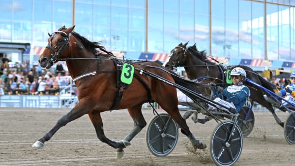 Foto: MARIA HOLMÉN / TR BILD