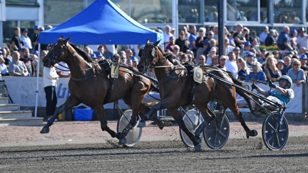 Foto: MALIN ALBINSSON / TR BILD